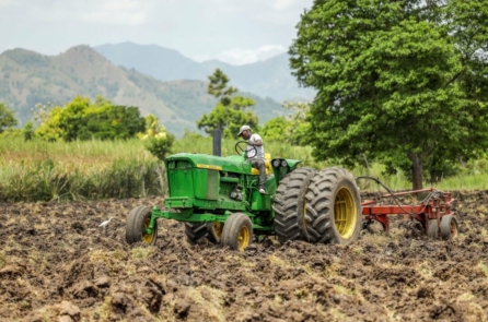 Cuộc sống của hàng triệu người Haiti vẫn tiếp diễn giữa tình trạng bạo lực băng đảng và sự thay đổi giới lãnh đạo