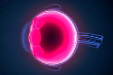 (Ảnh: MicroScience/Shutterstock)