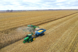 Công nhân từ Trang trại Pinicon thu hoạch bắp gần McIntire, Iowa, vào ngày 31/10/2023. (Ảnh: Scott Olson/Getty Images)