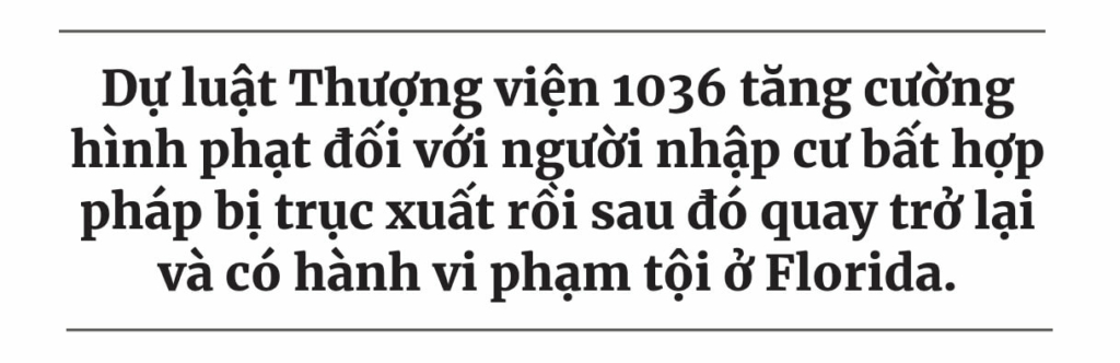 Hoa Kỳ: Nhiều tiểu bang đề xướng luật quy định người nhập cư trái phép lưu trú tại tiểu bang là bất hợp pháp