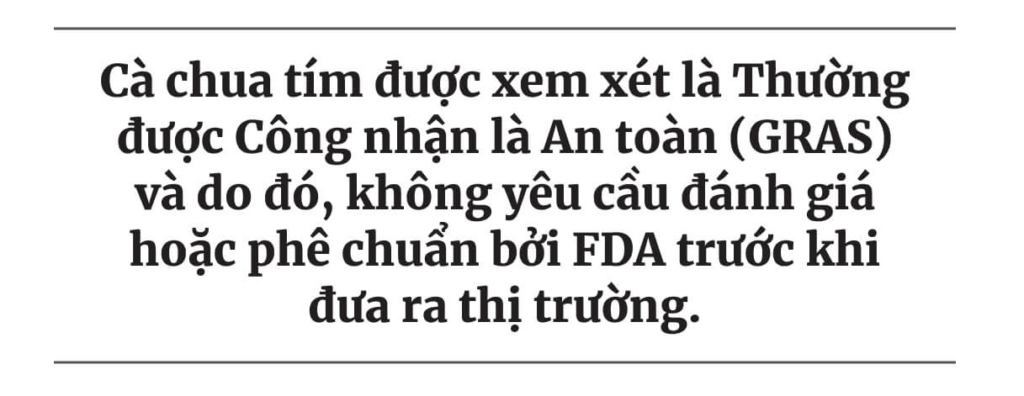 Cà chua tím biến đổi gene: Một loại cây trồng nhằm mục đích xâm nhập vào các khu vườn của Mỹ