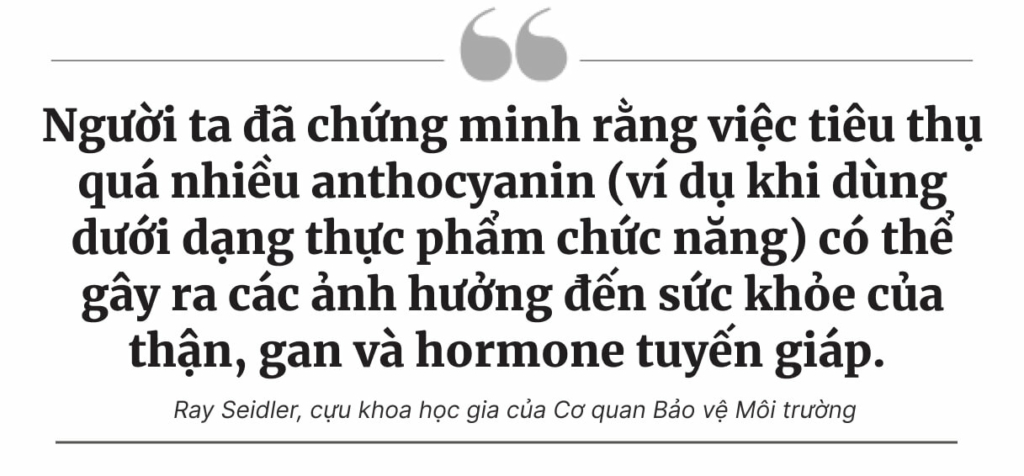 Cà chua tím biến đổi gene: Một loại cây trồng nhằm mục đích xâm nhập vào các khu vườn của Mỹ