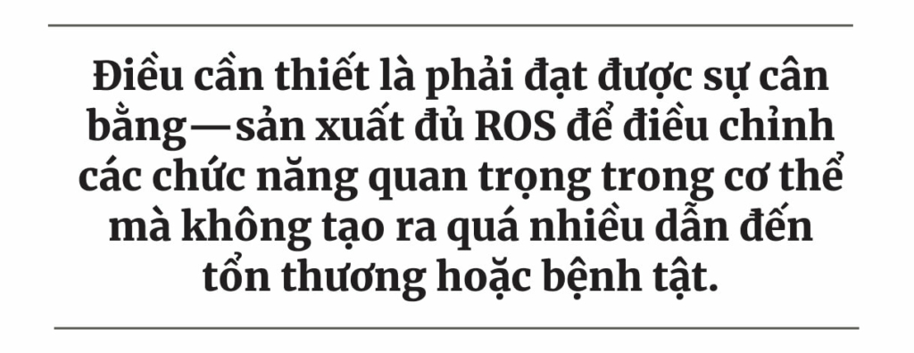 Cà chua tím biến đổi gene: Một loại cây trồng nhằm mục đích xâm nhập vào các khu vườn của Mỹ