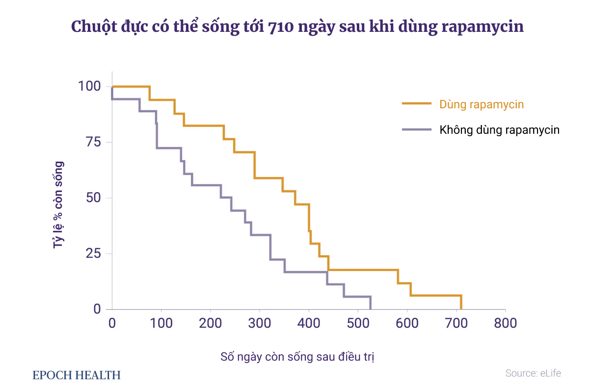 Một hợp chất được phát hiện trên đảo Phục sinh có thể kéo dài tuổi thọ, ngăn ngừa các bệnh liên quan đến tuổi tác