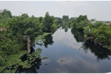 Nhà máy ở Long An xả thải vượt mức tiêu chuẩn 2,000 lần