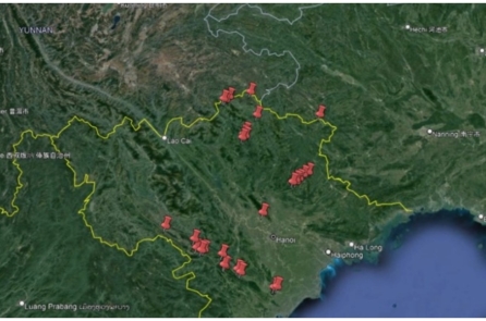 Việt Nam: Ghi nhận thêm 6 loài thực vật mới trong hang động ở miền Bắc