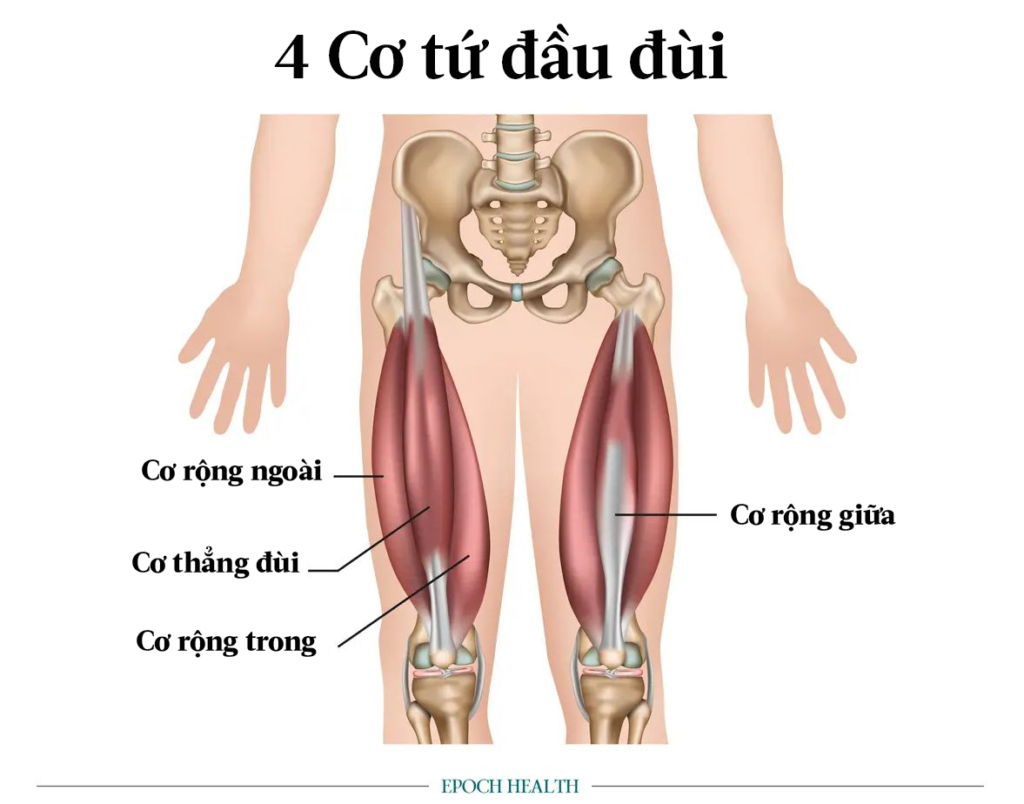 Bảy bài tập ‘Quadzilla’ tăng sức mạnh cho đôi chân và cải thiện khả năng vận động