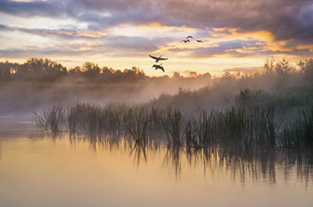 Nhân sinh cảm ngộ: Điều ngẫu nhiên trong cuộc sống