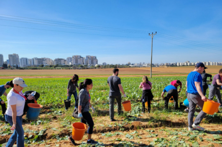 Công nhân nông trại người Thái trở lại Israel có thể thúc đẩy nền nông nghiệp đang gặp khó khăn của nước này