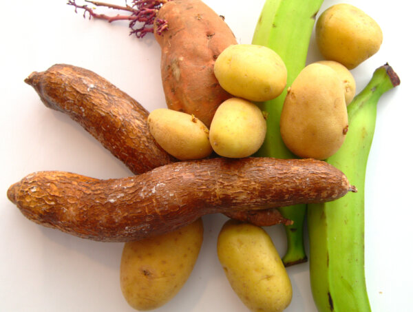 Yuccas, khoai lang, khoai tây, và chuối xanh. Việc phát hiện ra những loại cây dễ trồng như thế này đã dẫn đến sự bùng nổ dân số toàn cầu. (Ảnh: josera/shutterstock)