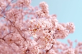 (Ảnh: Unsplash)