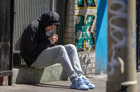 Năm đầu hoạt động, chiến dịch trấn áp chợ ma túy của San Francisco dẫn đến hơn 3,000 vụ bắt giữ