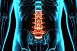 (Ảnh: Life science/Shutterstock)