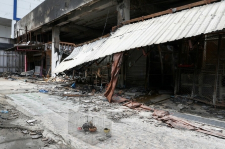 Thái Lan: Hơn 1,000 thú nuôi lạ bị thiêu rụi trong vụ hỏa hoạn ở chợ Chatuchak