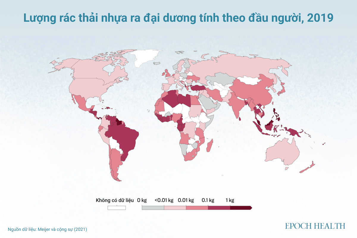 Hạt vi nhựa có kích thước DNA xâm chiếm cơ thể con người, chúng ta có thể làm gì