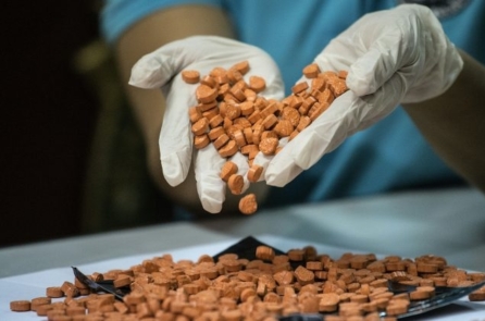 Ý thông báo thu giữ 6.9 tấn tiền chất ma túy đến từ Trung Quốc