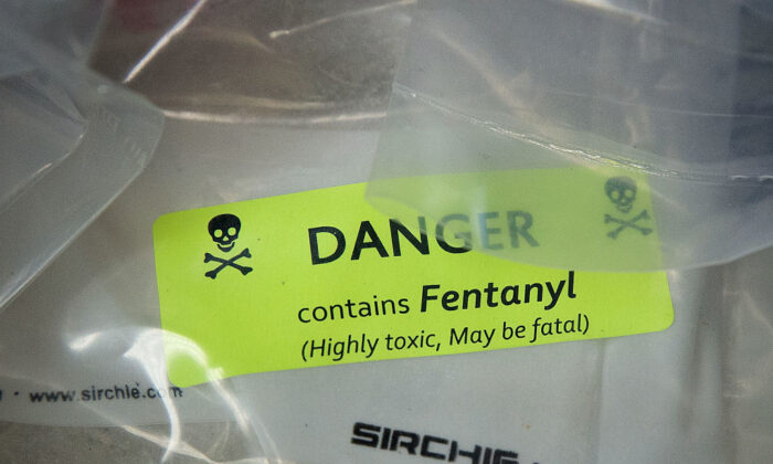 Các túi heroin, trong đó có một số túi được tẩm fentanyl, được trưng bày tại văn phòng Tổng Chưởng lý New York ở thành phố New York vào ngày 23/09/2016. (Ảnh: Drew Angerer/Getty Images)