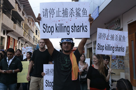 Ecuador tăng cường chống hoạt động đánh bắt cá trái phép, chủ yếu nhắm vào tàu cá Trung Quốc