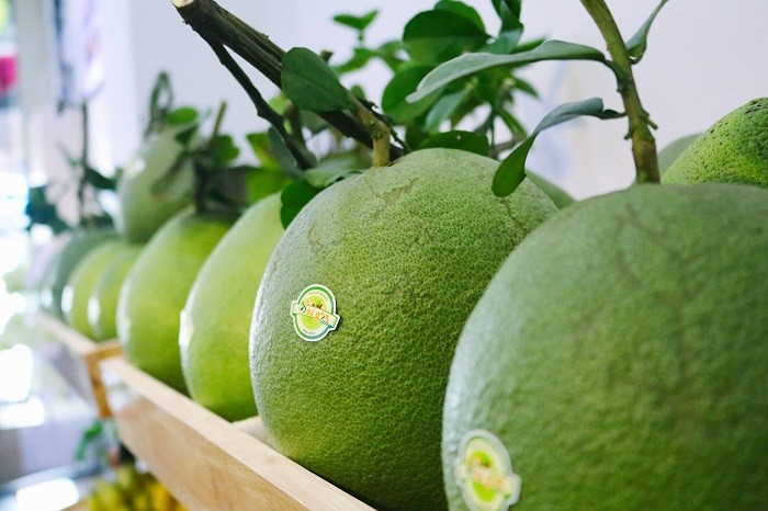 trái bưởi của Việt Nam