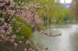 Thiên nhiên rộng lớn này dường như đang ẩn chứa một năng lượng thần bí nào đó, có thể lồng ghép mọi thứ thành một vòng tròn tuyệt đẹp. (Ảnh: Shutterstock)