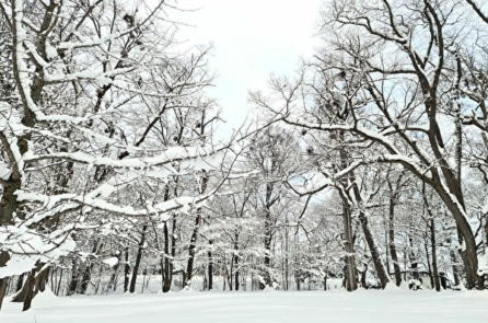Một không gian liên thông hai thời không, giấc mộng kỳ lạ hóa chân thực