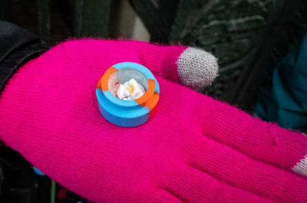 California: Luật mới yêu cầu học sinh trung học tìm hiểu về mối nguy hiểm của fentanyl