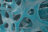 (Ảnh: Nemes Laszlo/Shutterstock)