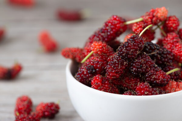Trái dâu tằm. (Ảnh: Regreto/Shutterstock)